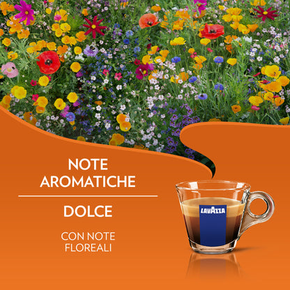 Caffè Lavazza delizioso compatibili A MODO MIO